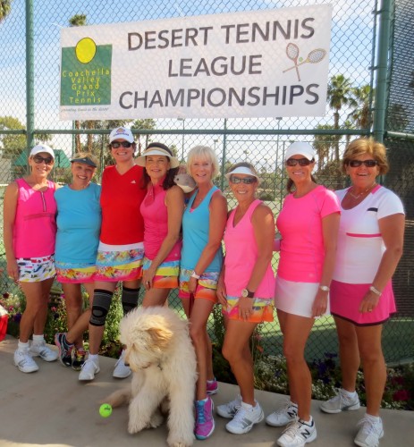 Desert Tennis League