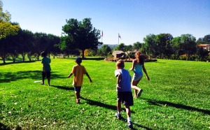 Orfila vineyard kids running